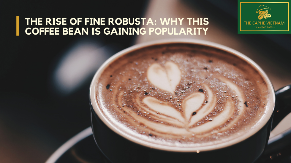 The Rise of Fine Robusta: Why This Coffee Bean is Gaining Popularity