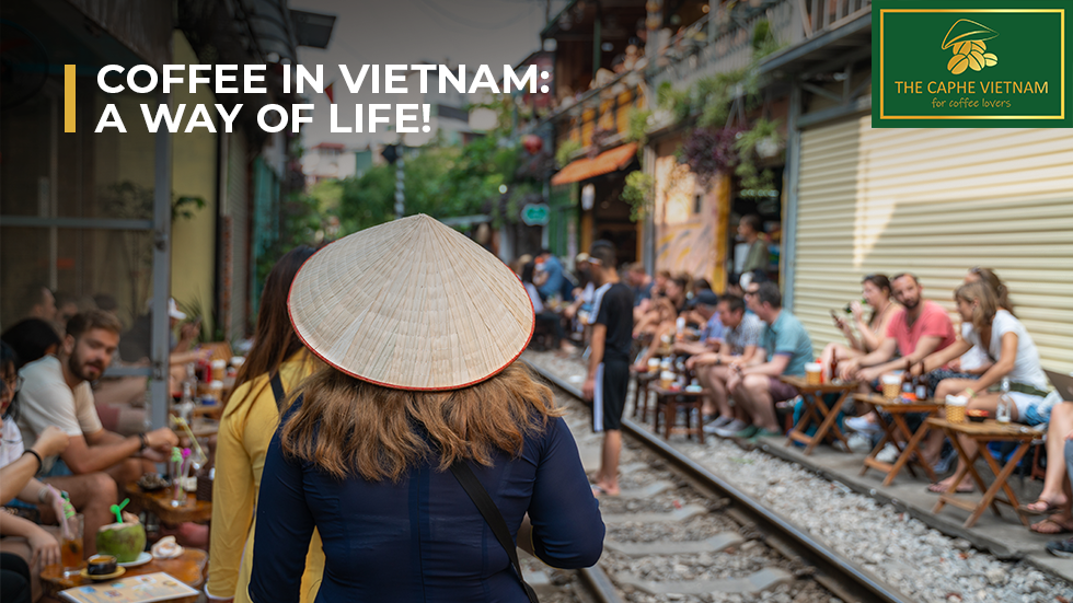 Coffee in Vietnam: A way of life!