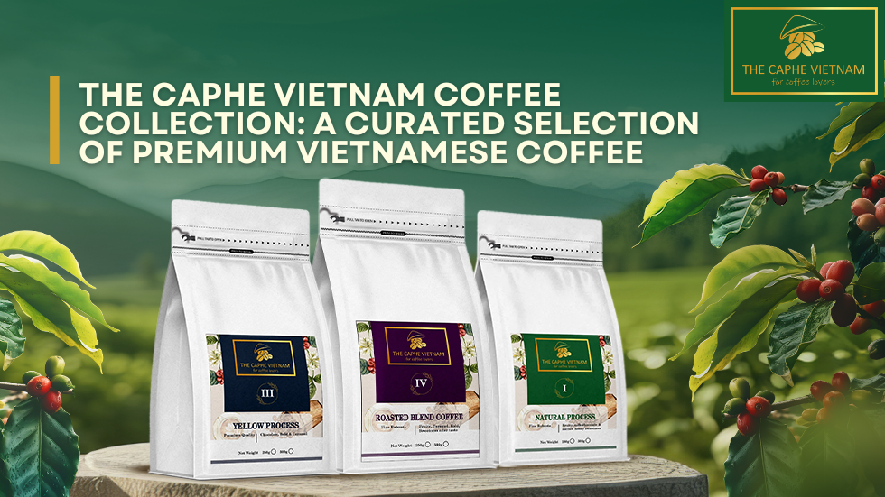 The Caphe Vietnam Coffee Collection: A Curated Selection of Premium Vietnamese Coffee