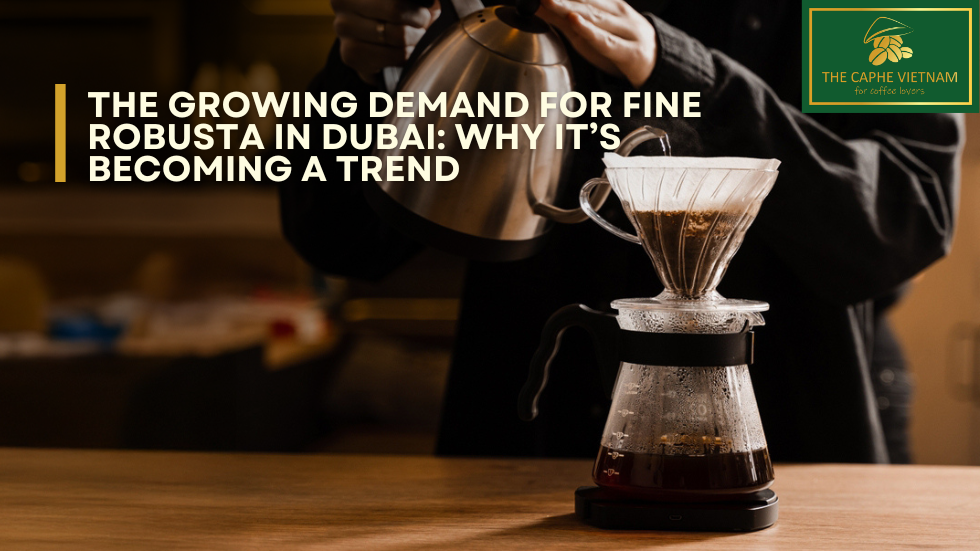 The Growing Demand for Fine Robusta in Dubai: Why It’s Becoming a Trend