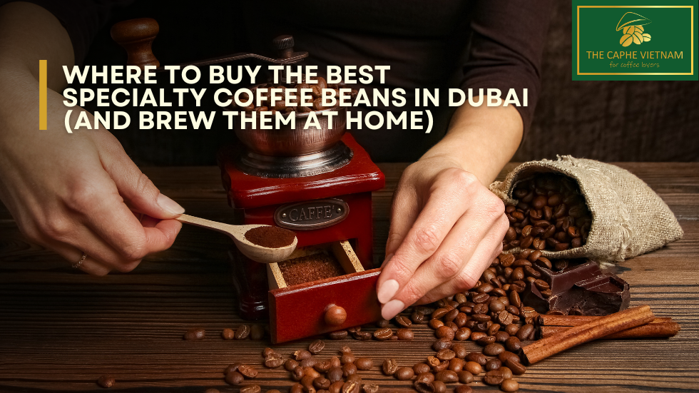 Where to Buy the Best Specialty Coffee Beans in Dubai (and Brew Them at Home)