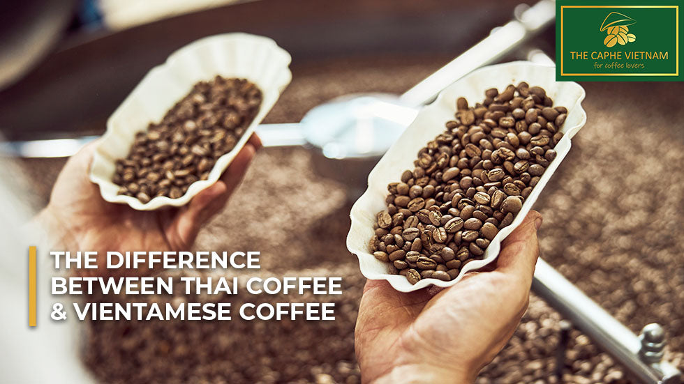 What is the difference between Thai and Vietnamese coffee
