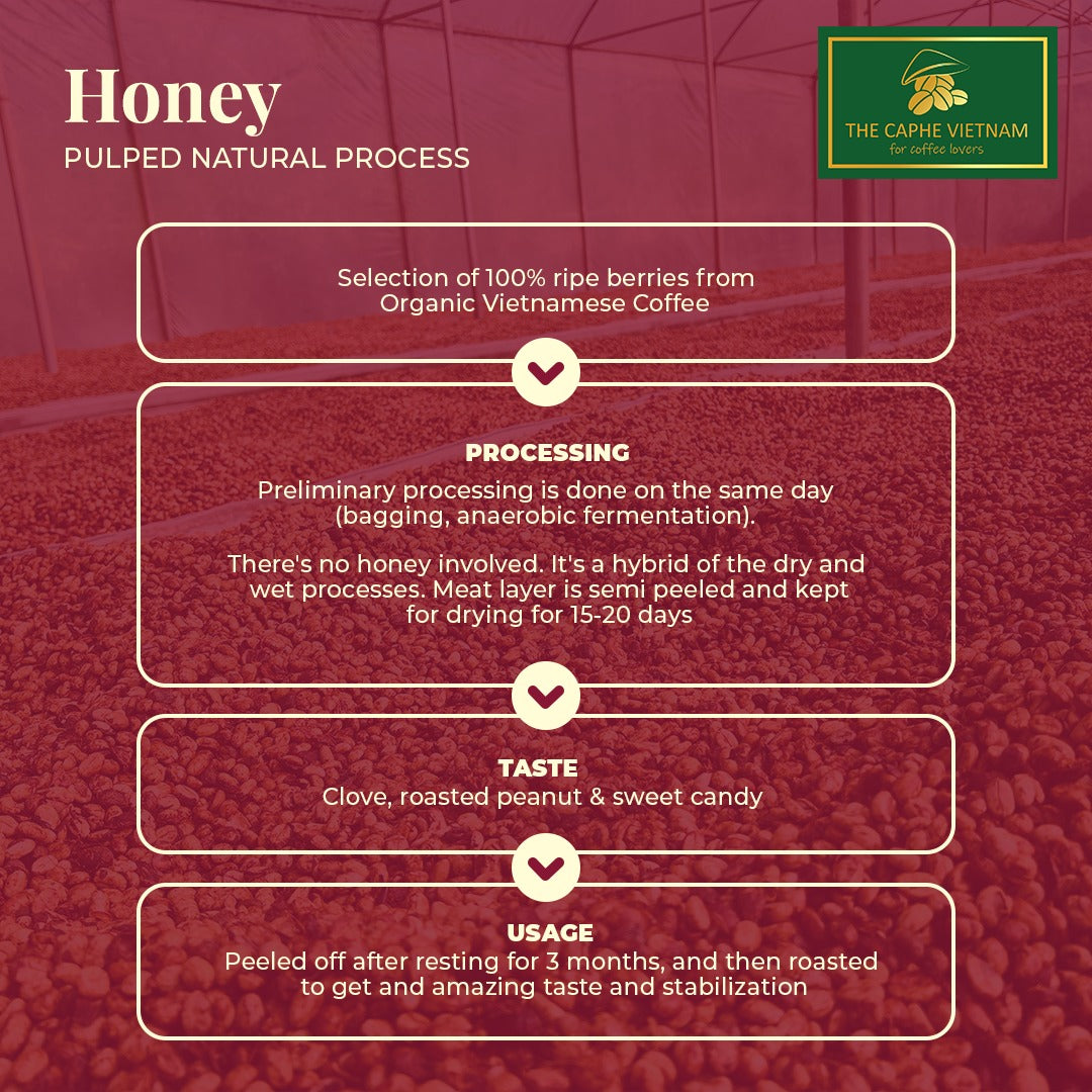 Fine Robusta Honey Ground