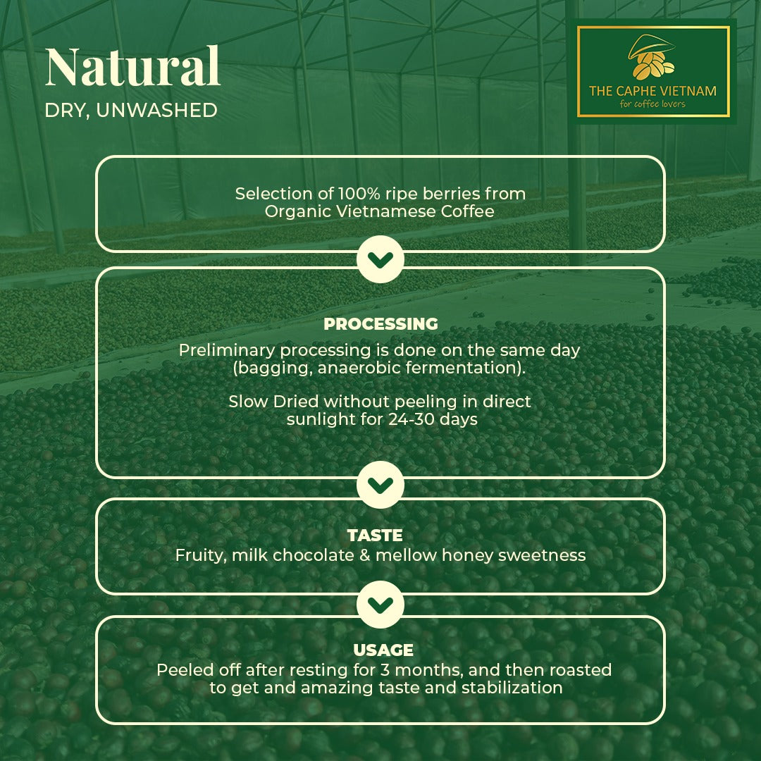Fine Robusta Natural Ground