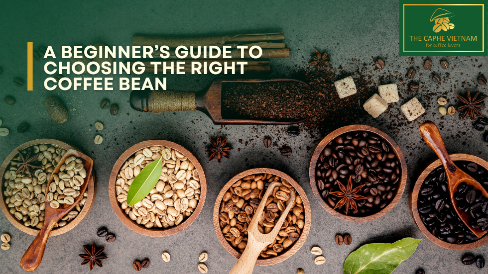 A Beginner’s Guide to Choosing the Right Coffee Bean