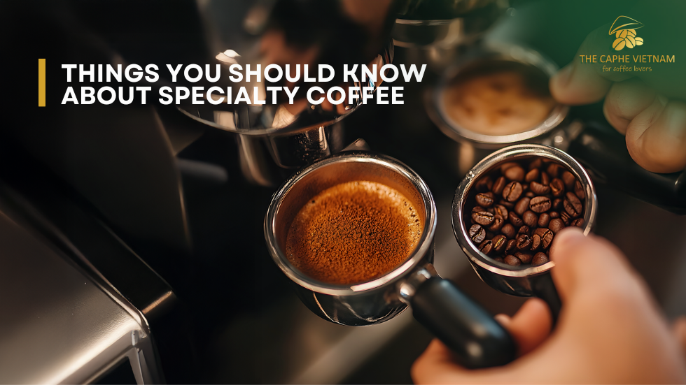 Things You Should Know About Specialty Coffee