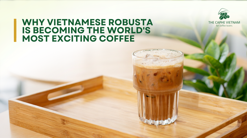 Why Vietnamese Robusta Is Becoming the World's Most Exciting Coffee