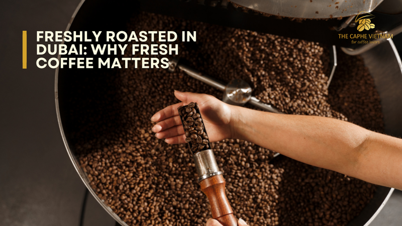Freshly Roasted in Dubai: Why Fresh Coffee Matters