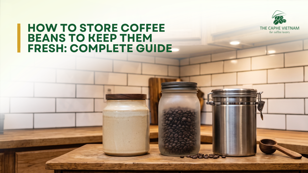 How to Store Coffee Beans to Keep Them Fresh: Complete Guide