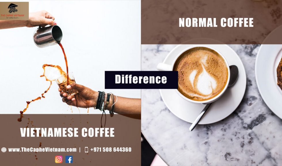 What’s the Difference Between Vietnamese and Normal Coffee?