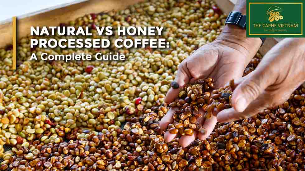 Natural vs. Honey Processed Coffee: A Complete Guide