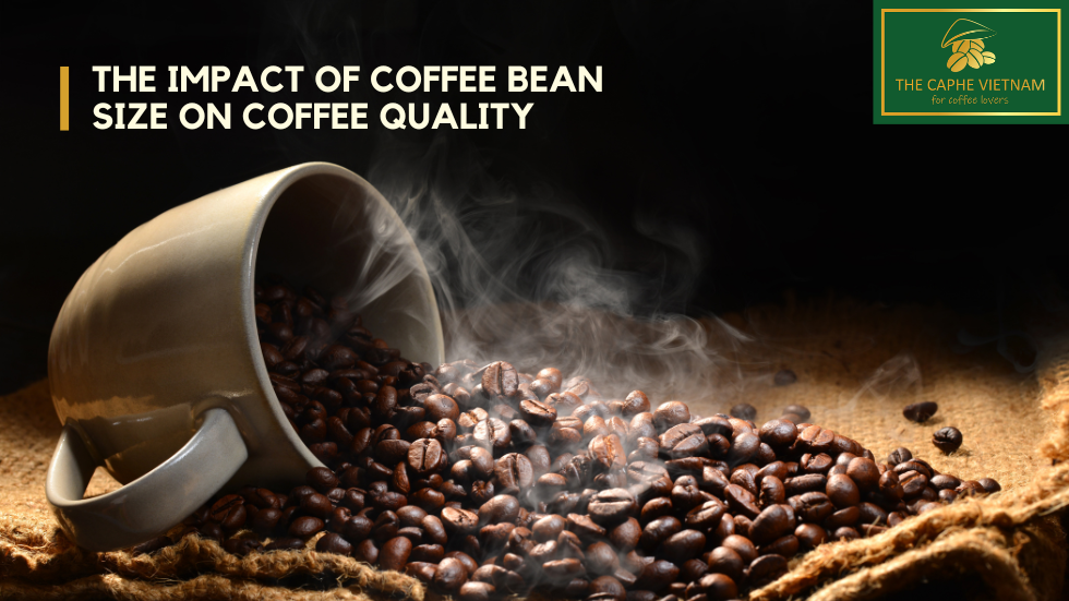 The Impact of coffee bean size on coffee quality