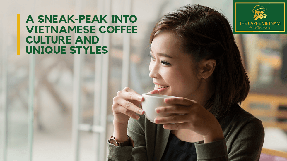 A Tale in Every Cup: Delving into Vietnam's Coffee Culture and Captivating Brewing Styles