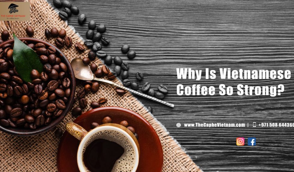 Why is Vietnamese coffee So Strong? A Detailed Overview