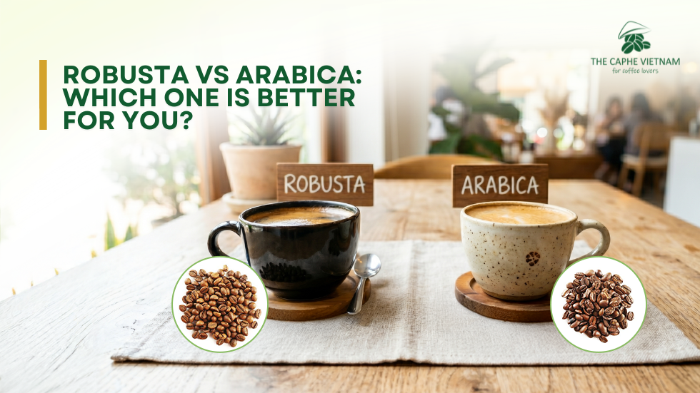 Robusta Vs Arabica: Which One Is Better For You?