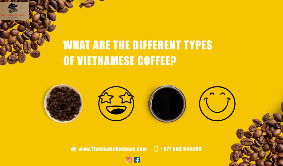 What are the Different Types of Vietnamese Coffee?