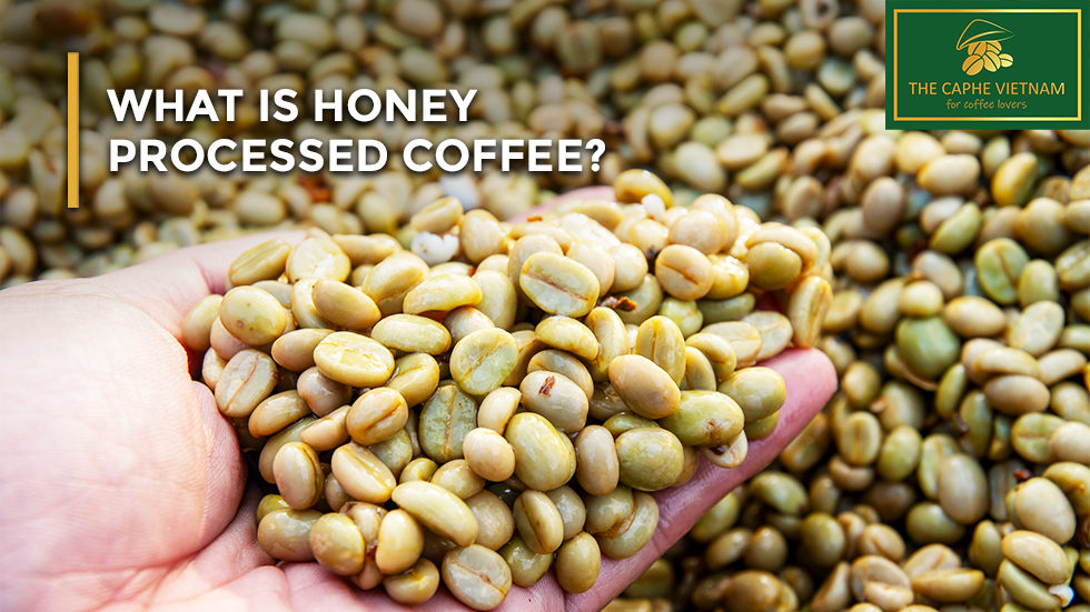 What is Honey Processed Coffee?