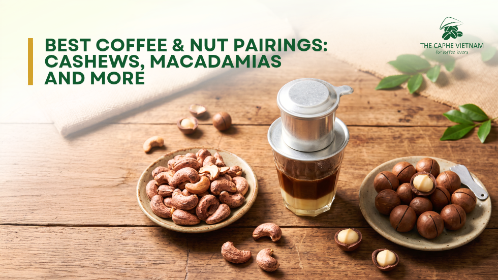 Best Coffee & Nut Pairings: Cashews, Macadamias and More