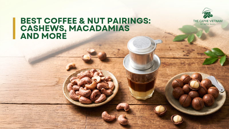 Best Coffee & Nut Pairings: Cashews, Macadamias and More