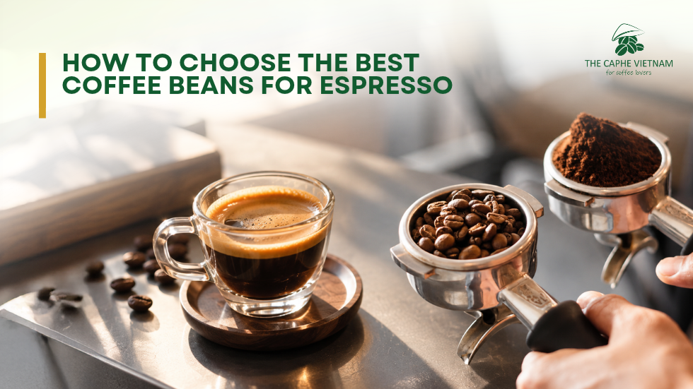 How to Choose the Best Coffee Beans for Espresso