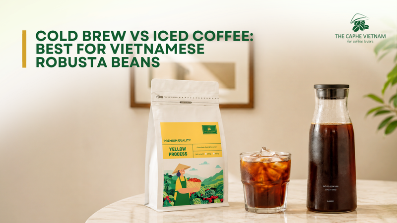 Cold Brew vs Iced Coffee: Best for Vietnamese Robusta Beans
