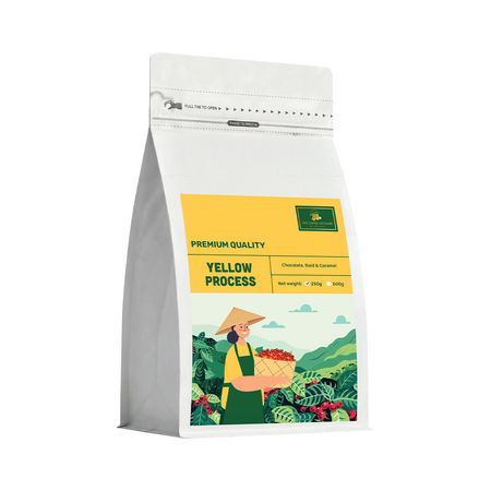 Robusta Premium Quality (Yellow process) Whole Beans Coffee 10kg