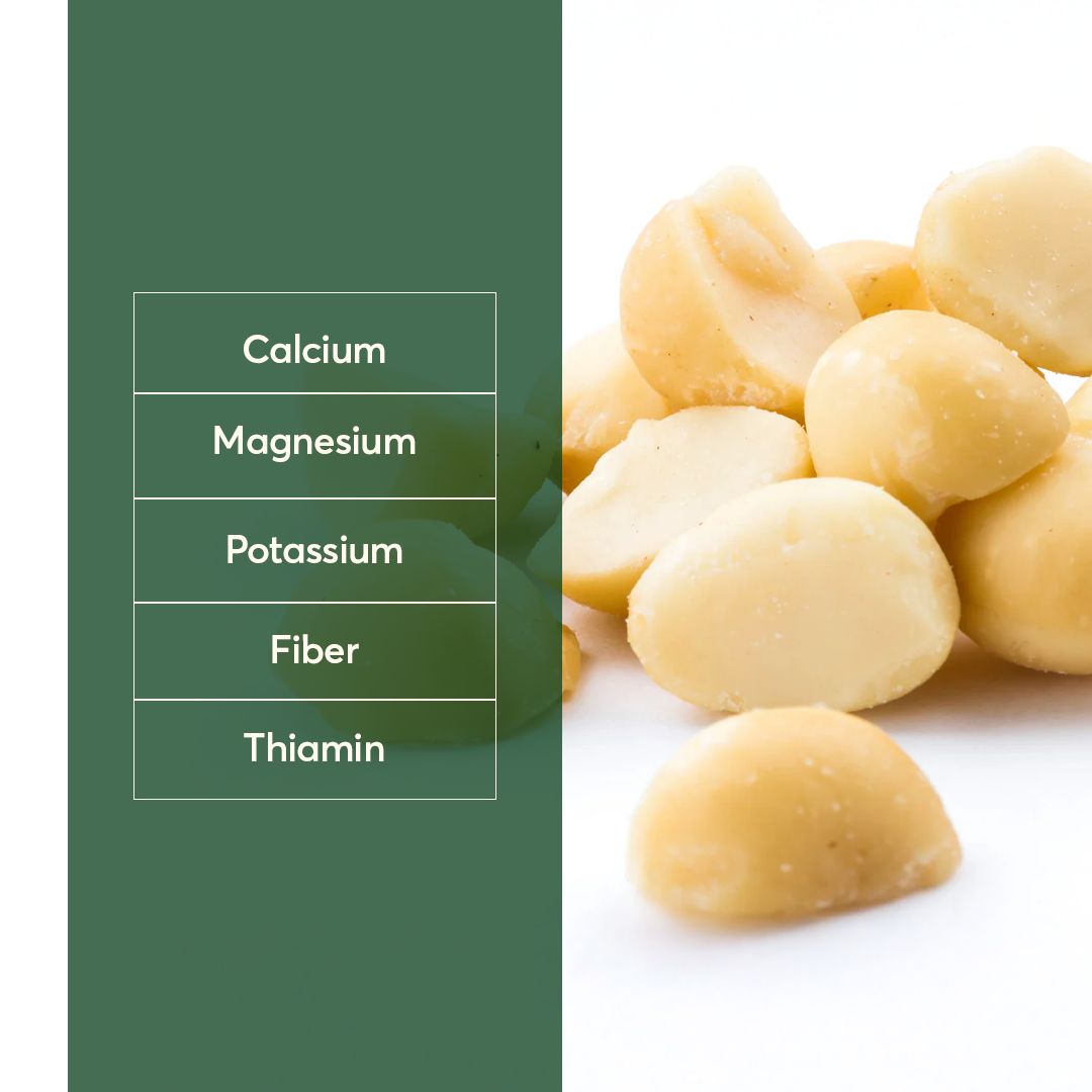 Macadamia Nut VIP size Double Tanks 5 kg