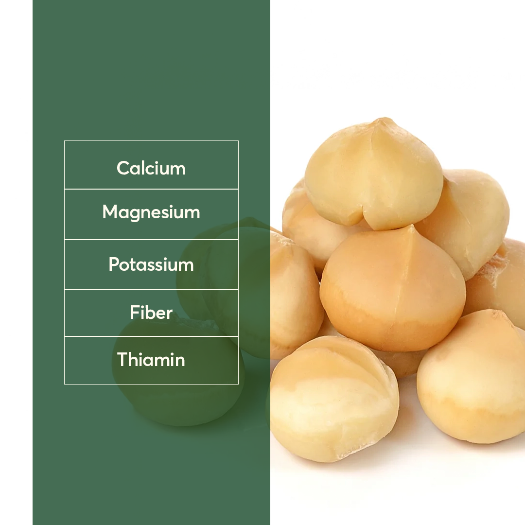 Macadamia VIP Size no shell