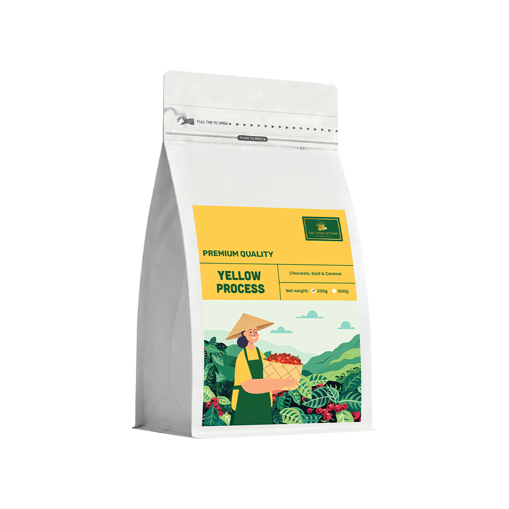 Combo Gift Set - Premium Quality Yellow Process 250g + Cinnamon Orange + Vietnamese Phin Filter (Red)