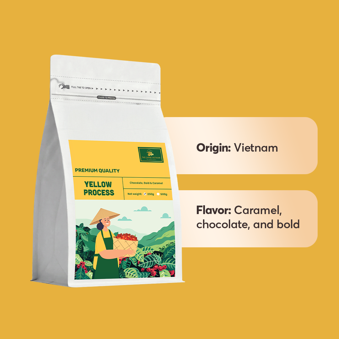 Premium Quality Yellow Whole Beans