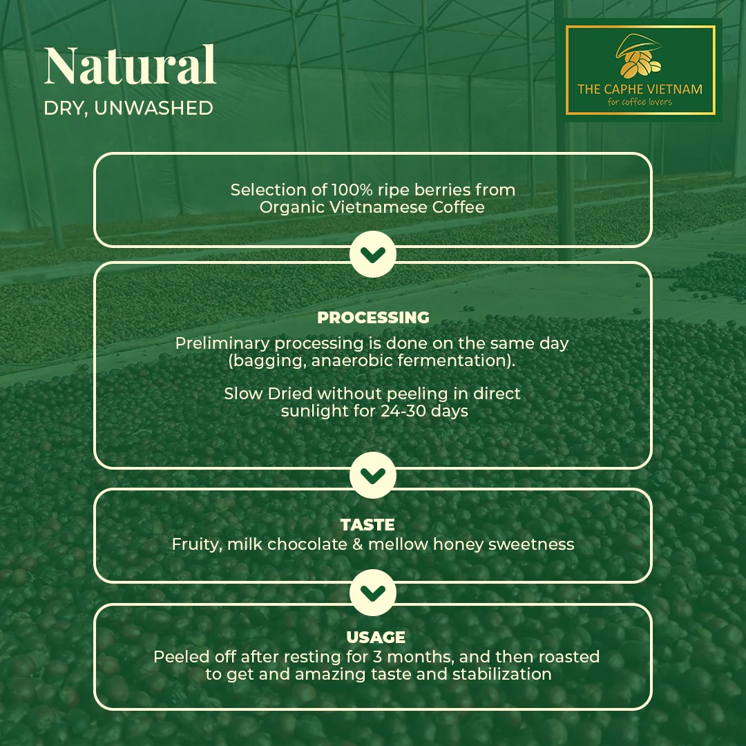 Fine Robusta Natural Whole Beans