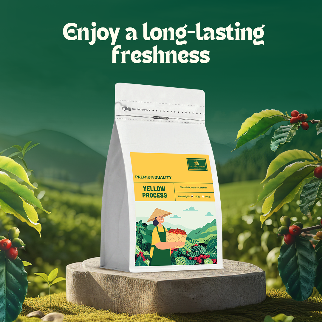 Premium Quality Yellow Ground