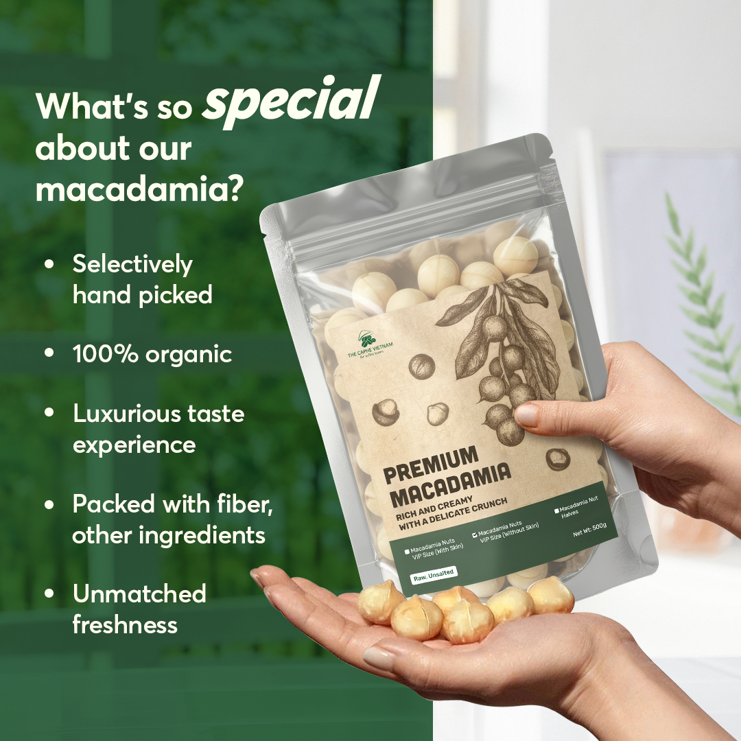 Macadamia VIP Size no shell