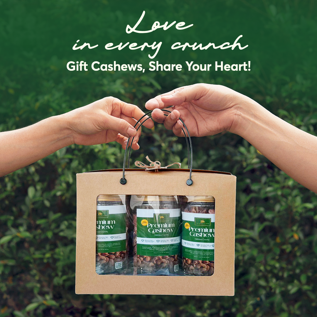 Premium Wood Fire Cashew Nuts, Salted Cashews with Skin, Pack of 3 - 500g Per Box