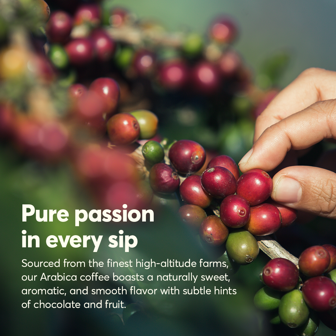 Specialty Arabica Coffee - Ethiopian Guji - Ground