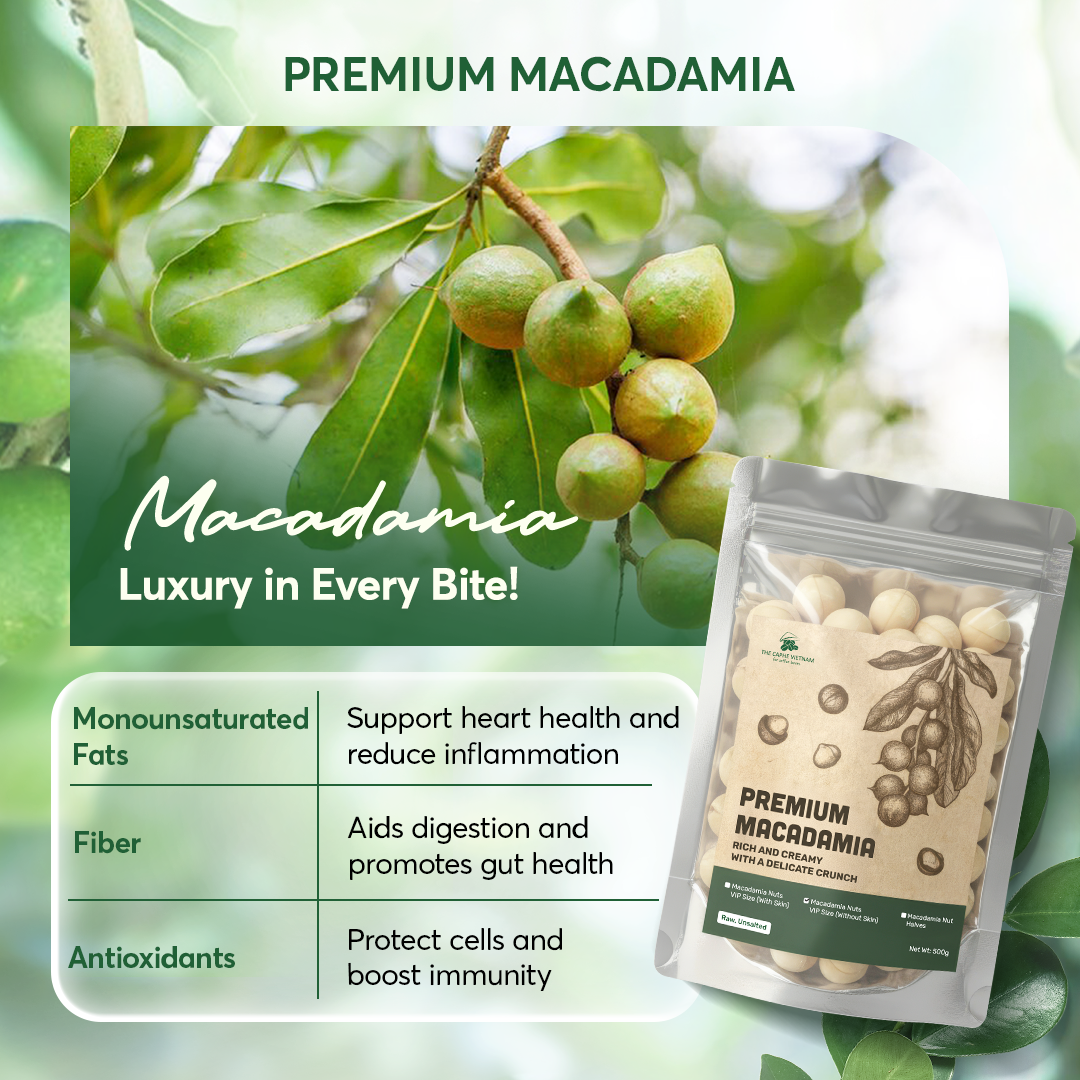 Macadamia VIP Size no shell