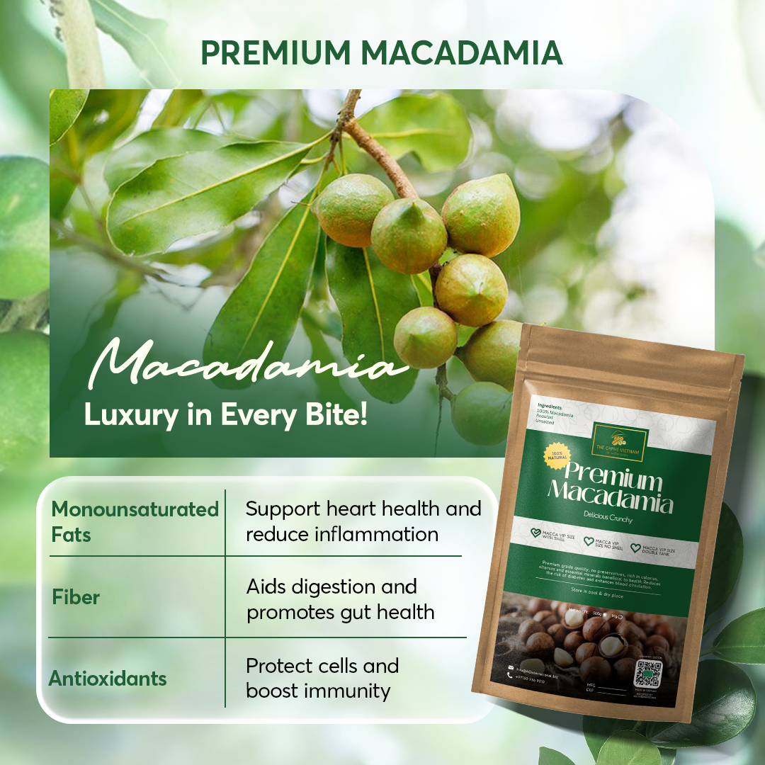 Macadamia VIP Size with Shell