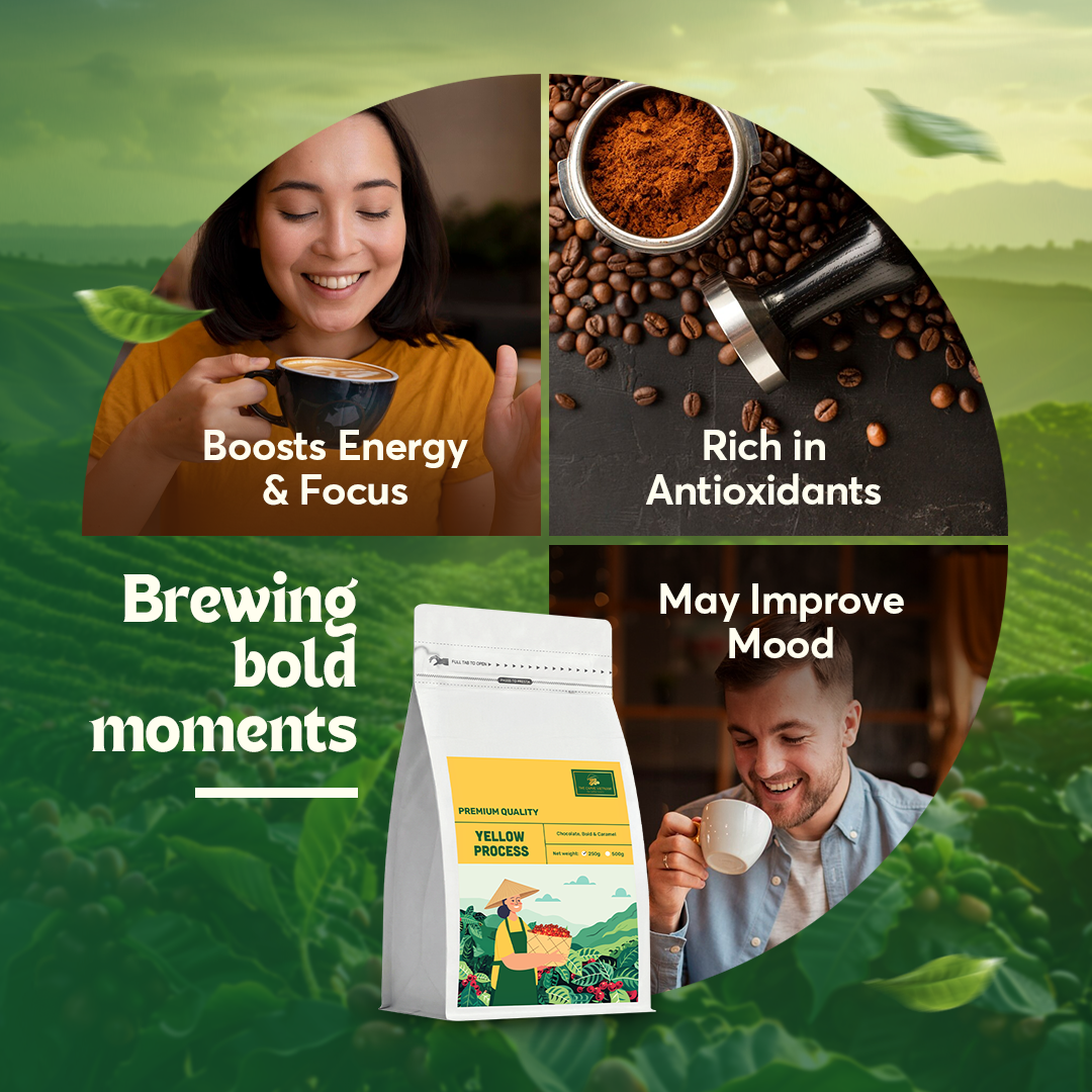 Premium Quality Yellow Ground