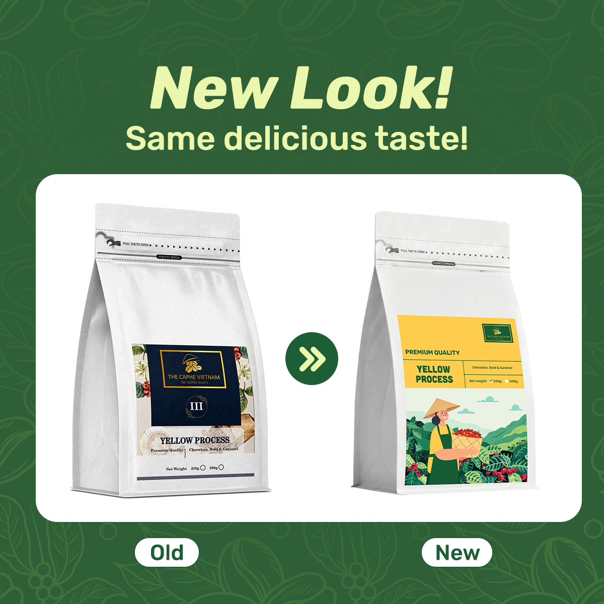 Premium Quality Yellow Whole Beans