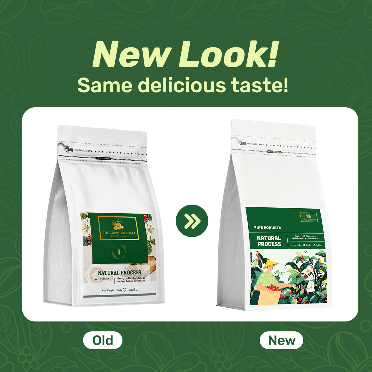 Fine Robusta Natural Ground