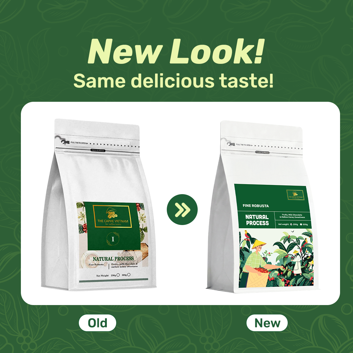 Fine Robusta Natural Whole Beans