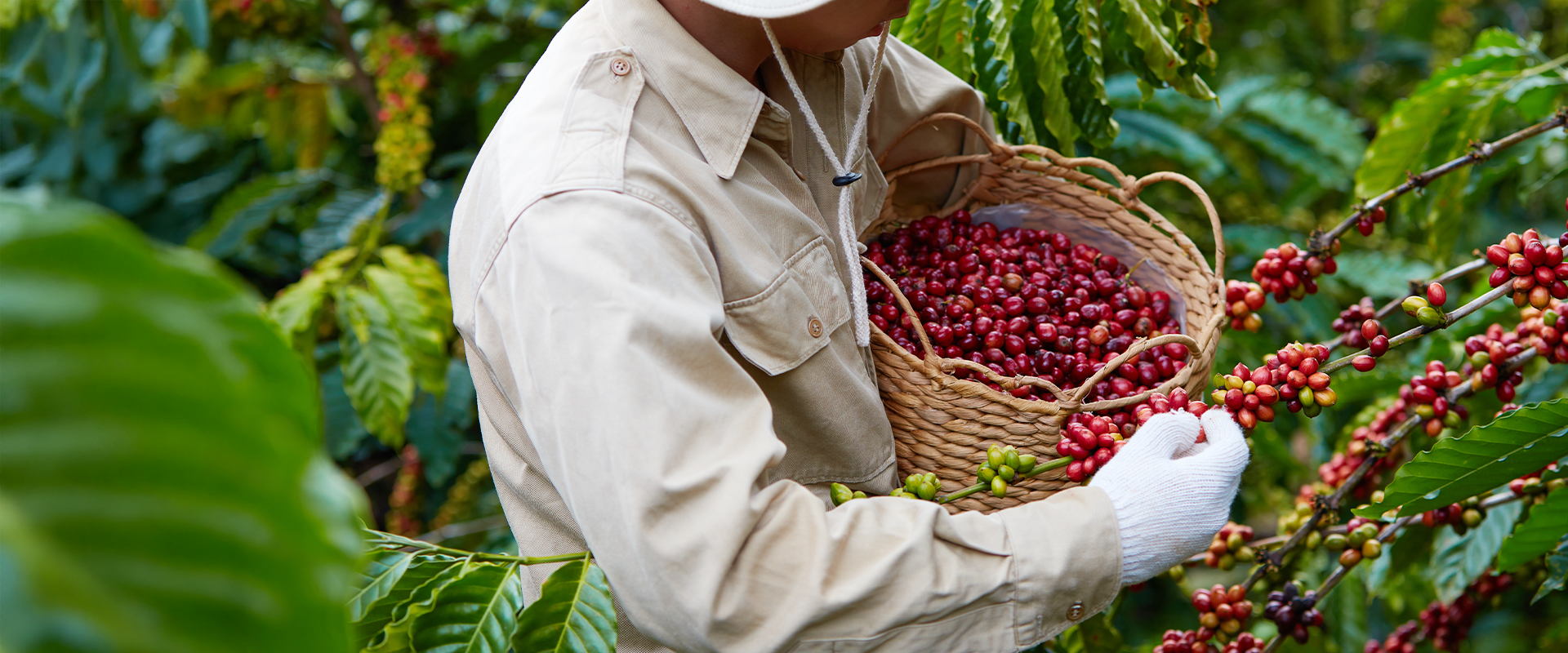 Vietnamese coffee is not just a drink — it is deeply rooted in culture.